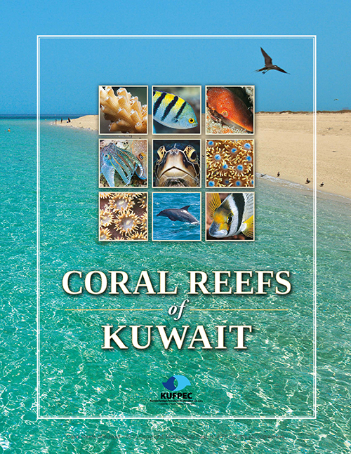 Quarterly Energy Report